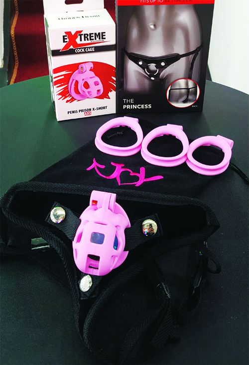 CINTURA CON ANELLI PER GABBIA
