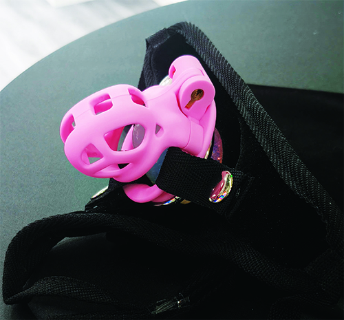 IMBRACATURA STRAP-ON CON GABBIA